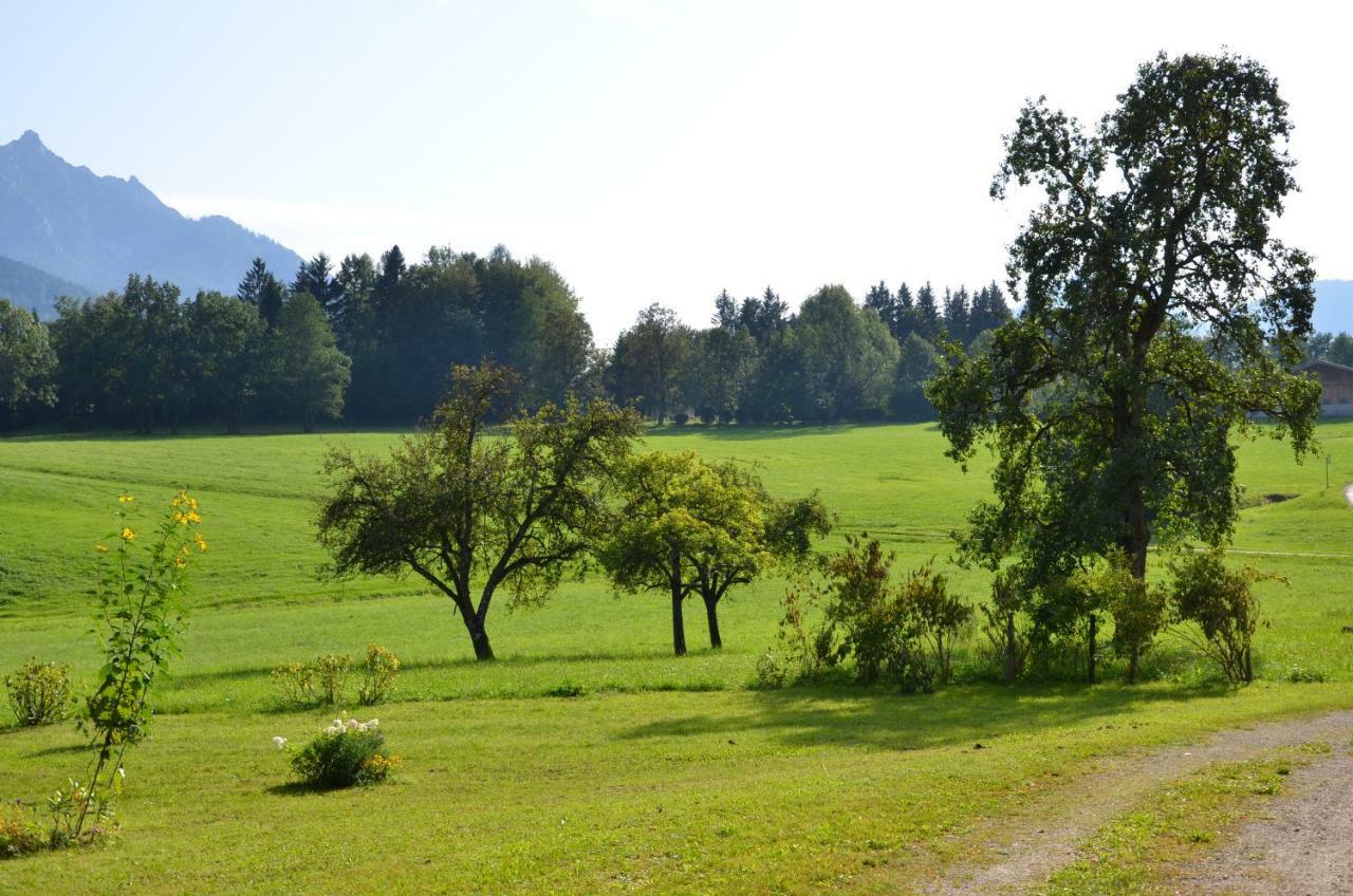 Naturresort Fischergut - Lodge Wolfgangthal Sankt Wolfgang im Salzkammergut ภายนอก รูปภาพ