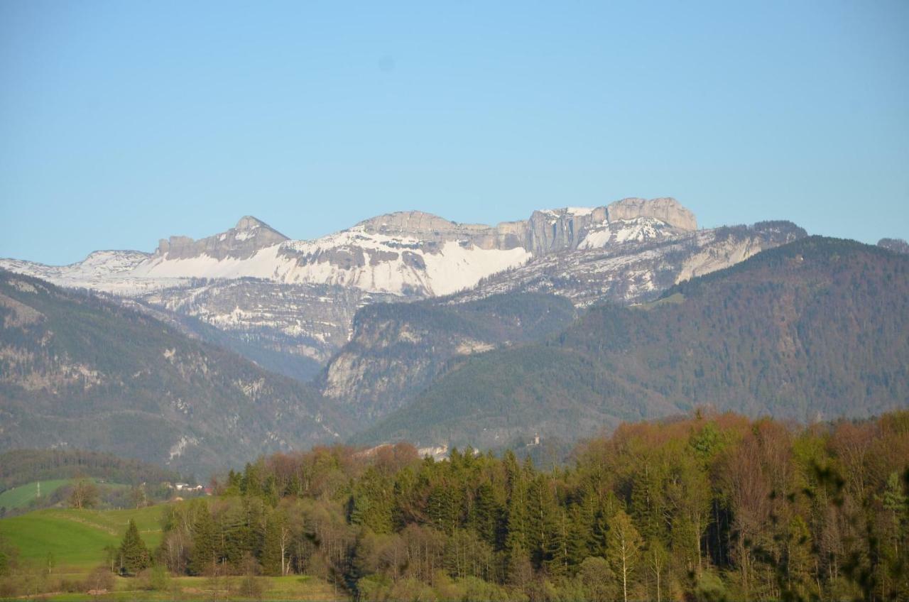 Naturresort Fischergut - Lodge Wolfgangthal Sankt Wolfgang im Salzkammergut ภายนอก รูปภาพ